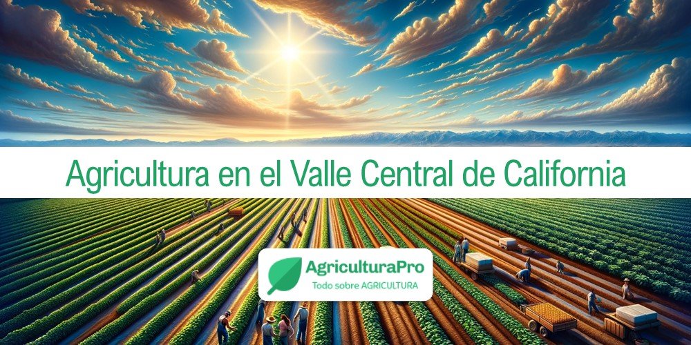 Imagen de la entrada: Agricultura en el Valle Central de California en Estados Unidos