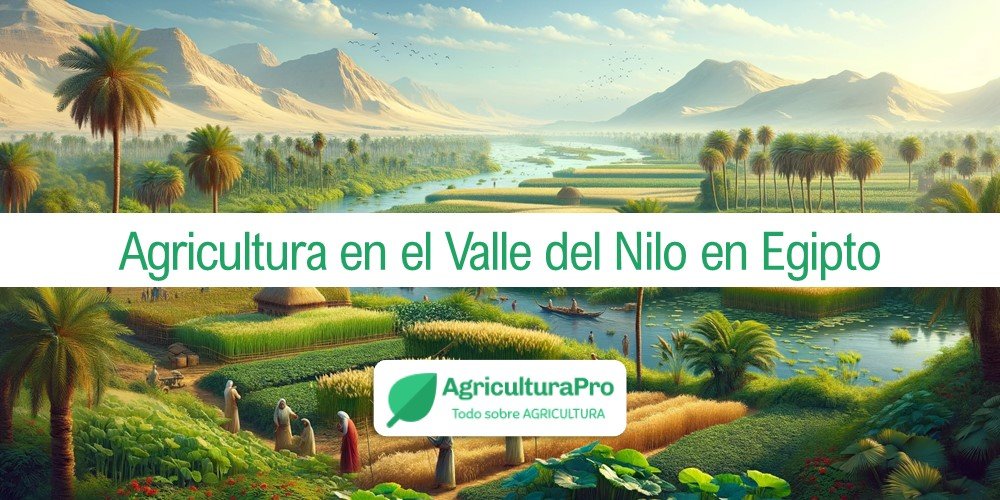 Imagen de la entrada: Agricultura en el Valle del Nilo en Egipto