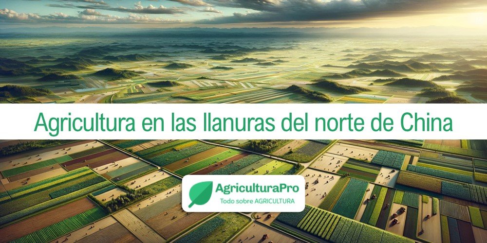 Imagen de la entrada: Agricultura en las llanuras del norte de China