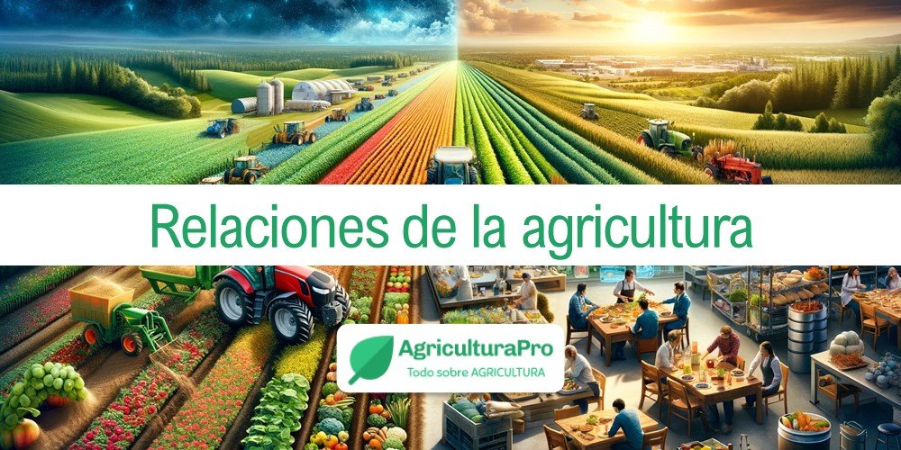 Imagen de la entrada: ¿Cómo impacta la agricultura en otras actividades humanas?