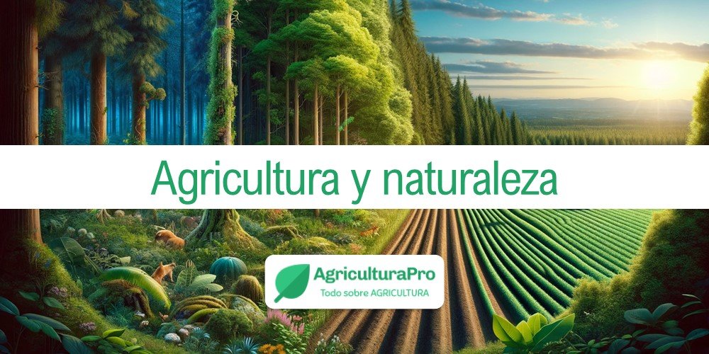 Imagen de la entrada: ¿Cuál es la relación entre agricultura y naturaleza?