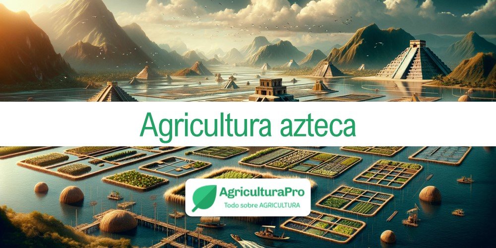 Imagen de la entrada: ¿Cuáles fueron las claves de la agricultura azteca?