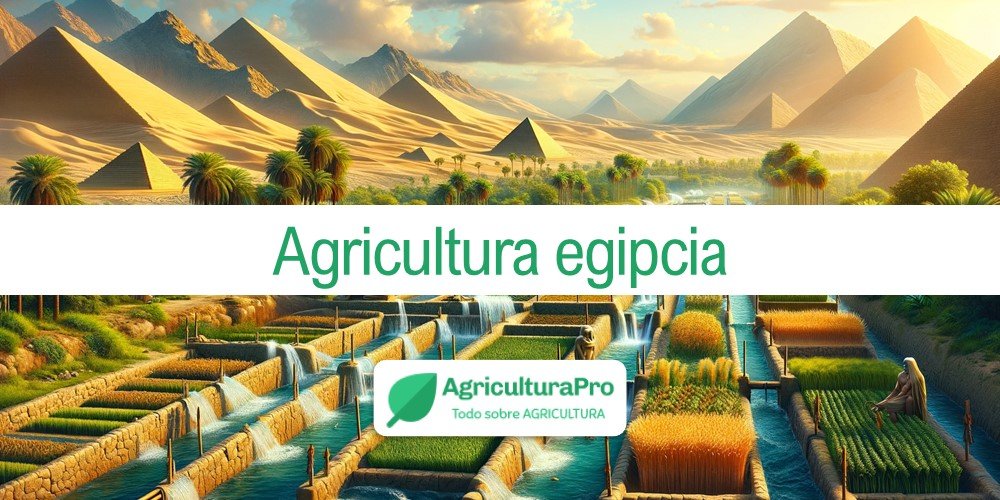 Imagen de la entrada: ¿Cuáles fueron las claves de la agricultura egipcia?