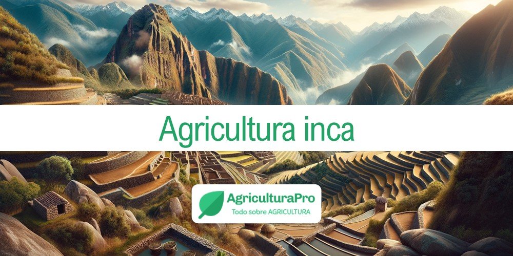 Imagen de la entrada: ¿Cuáles fueron las claves de la agricultura inca?