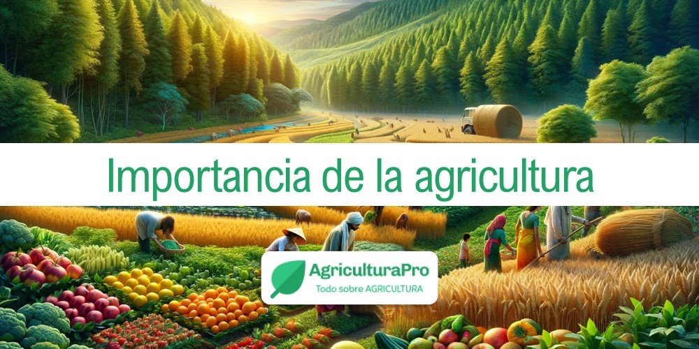 Imagen de la entrada: ¿Por qué es importante la agricultura?