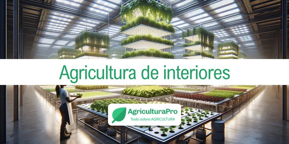 Imagen de la entrada: ¿Qué es la agricultura de interiores?