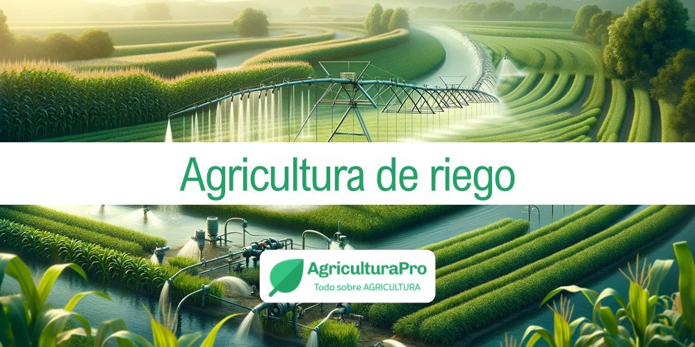 Imagen de la entrada: ¿Qué es la agricultura de riego?