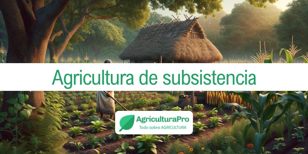 Imagen de la entrada: ¿Qué es la agricultura de subsistencia?