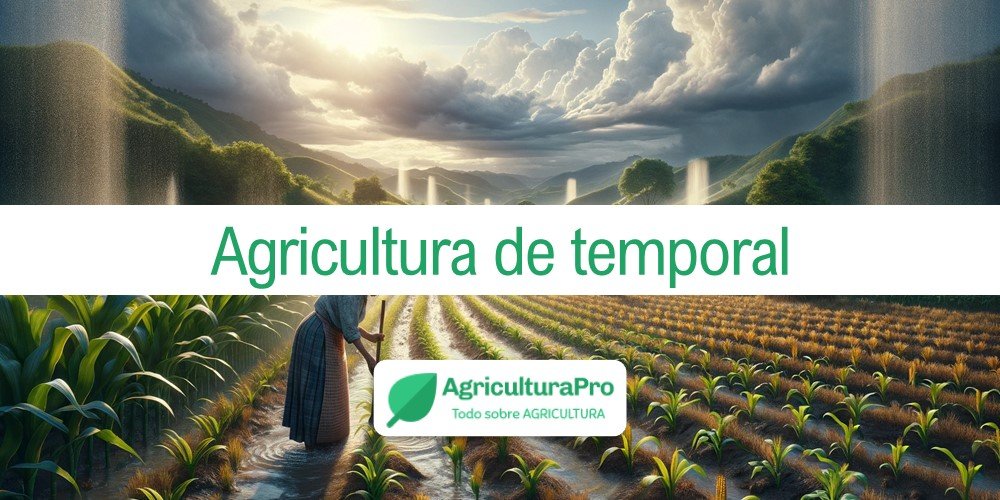 Imagen de la entrada: ¿Qué es la agricultura de temporal?