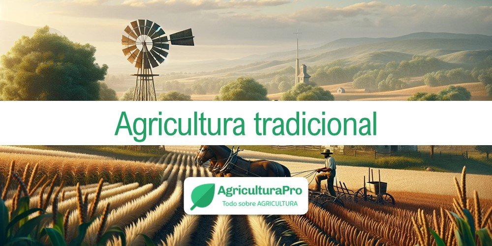 Imagen de la entrada: ¿Qué es la agricultura tradicional?